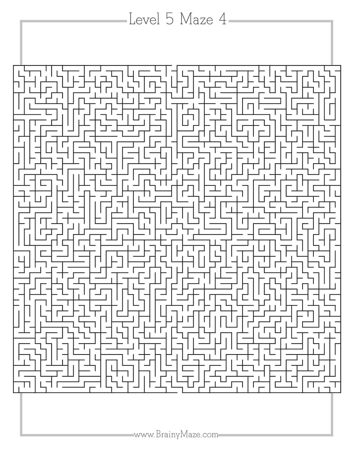 Level 5 Mazes - Brainy Maze