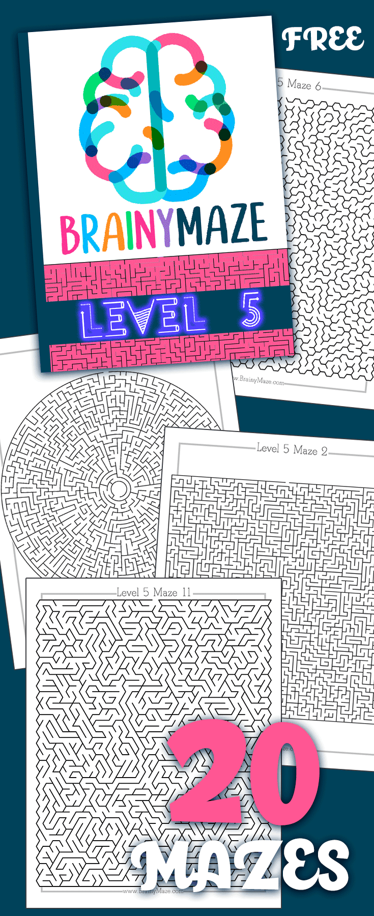 Level 5 Mazes - Brainy Maze